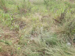 1 Acre Litigation-Free Land for Sale!!.secure Your Land
