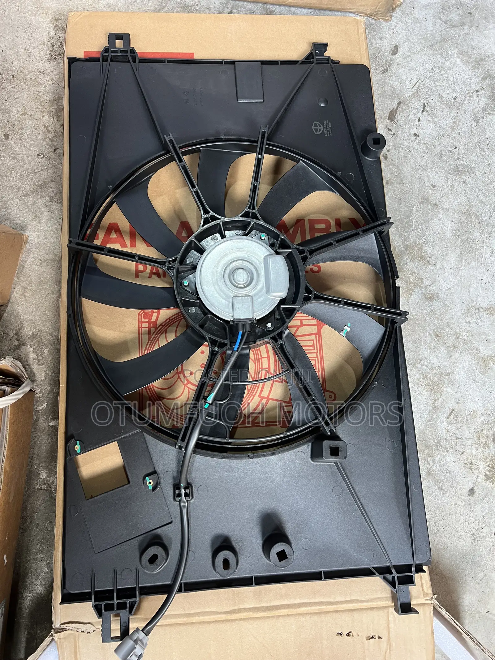 Toyota Corolla 2023 2024 2025 Fan