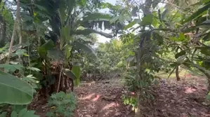 6bdrm House in Akuapem Mampong, Aburi for sale