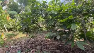 6bdrm House in Akuapem Mampong, Aburi for sale
