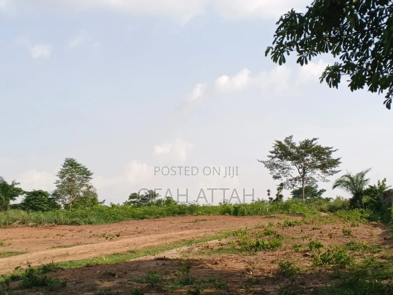 10 Plot for Sale Offinso Namong