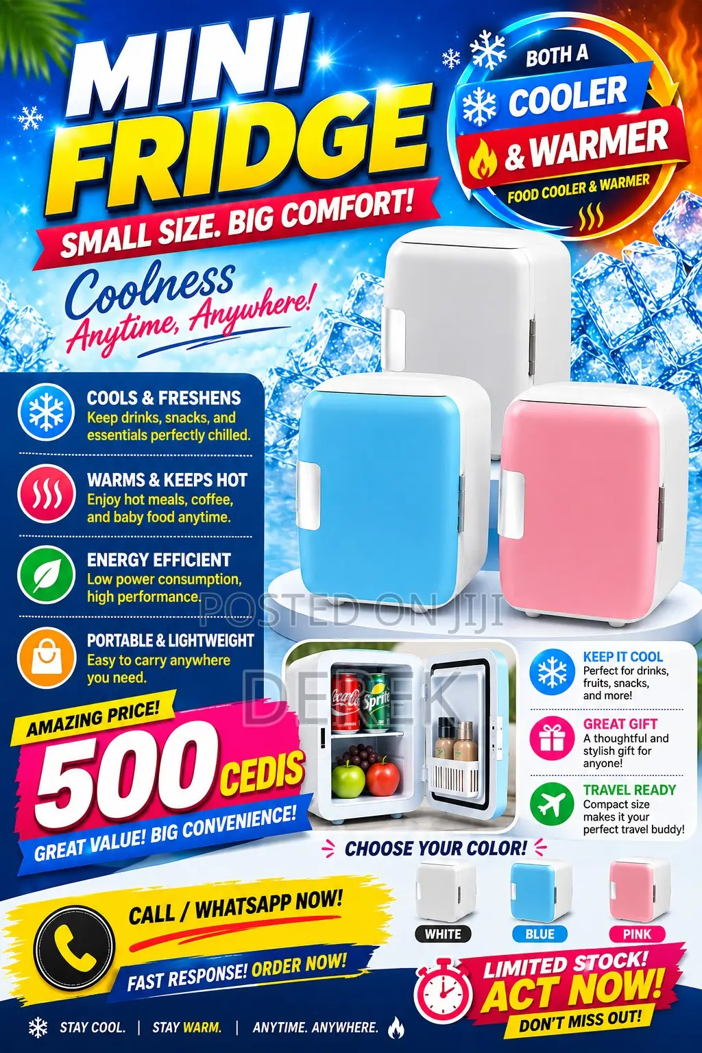 Mini Fridge and Warmer