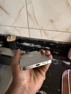 Apple iPhone 15 Pro Max 256 GB Graphite