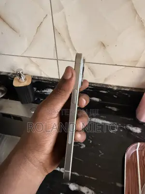 Apple iPhone 15 Pro Max 256 GB Graphite