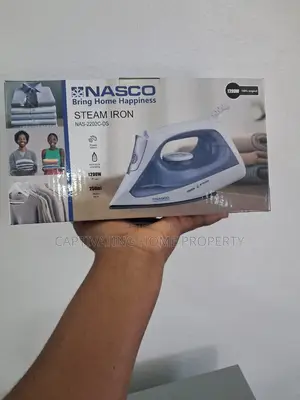 Steam Iron