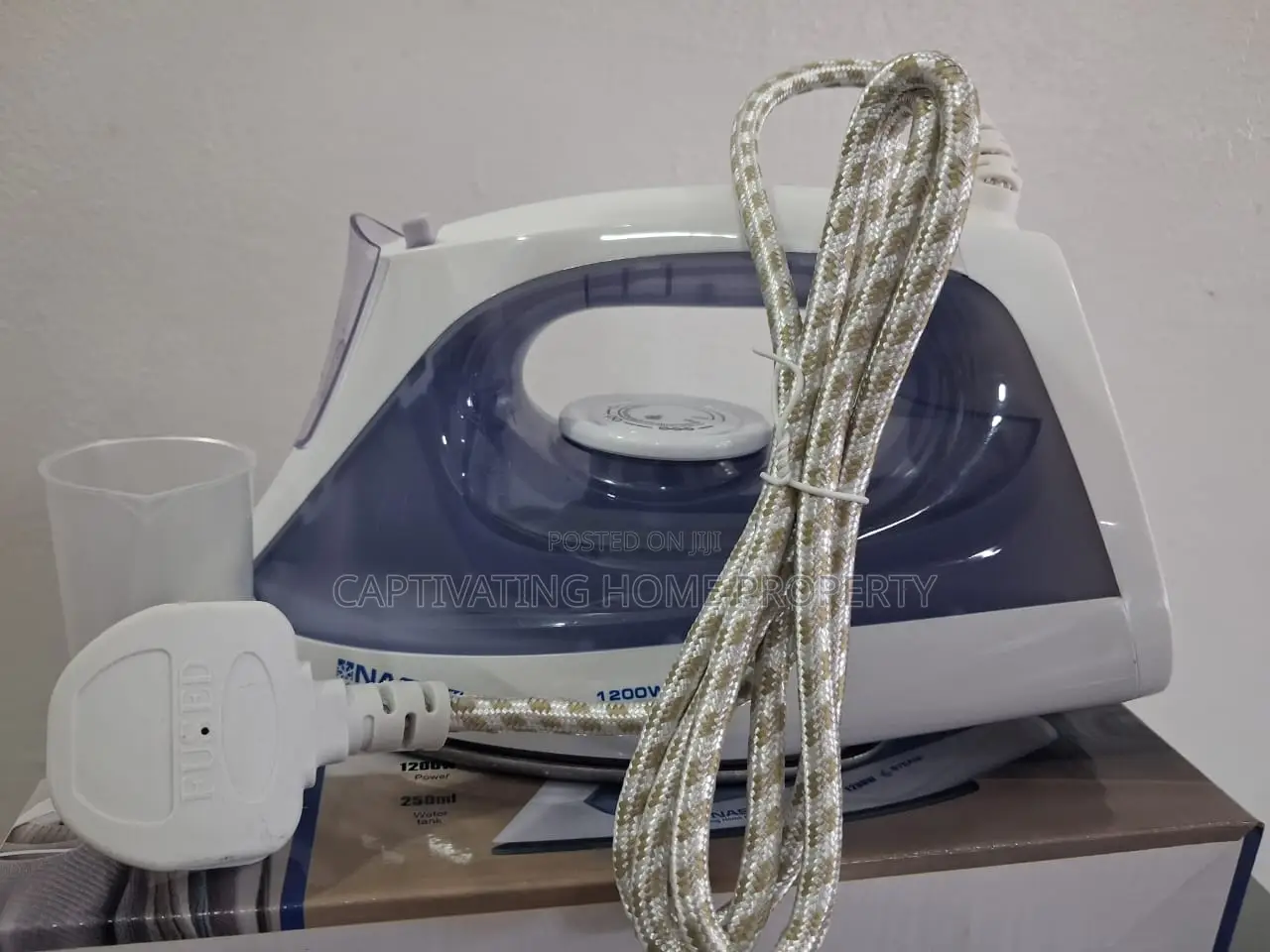Steam Iron