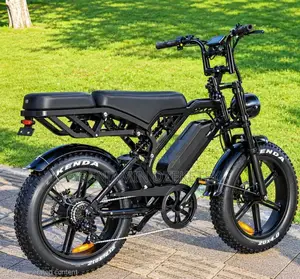 Electric Car