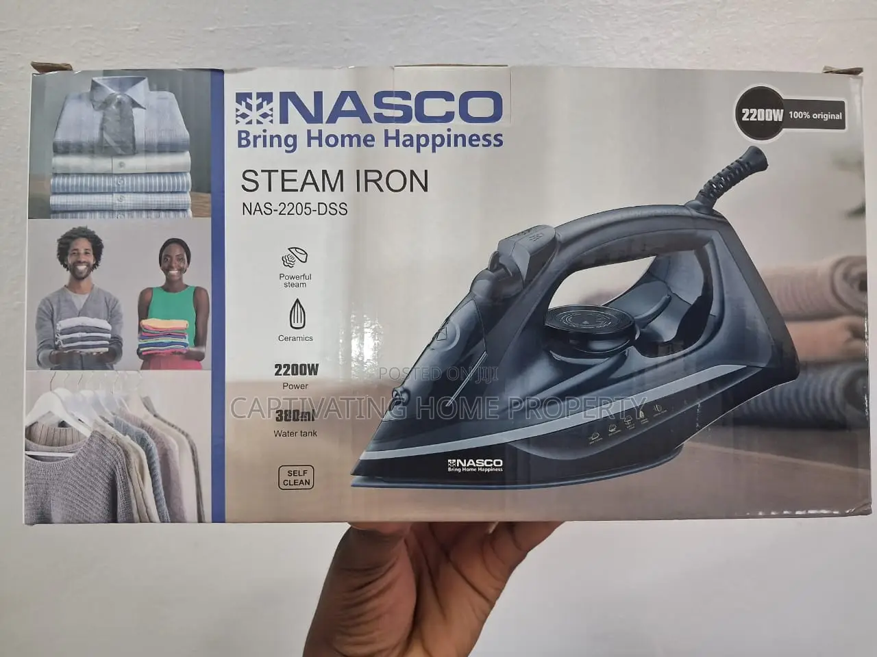 Steam Iron