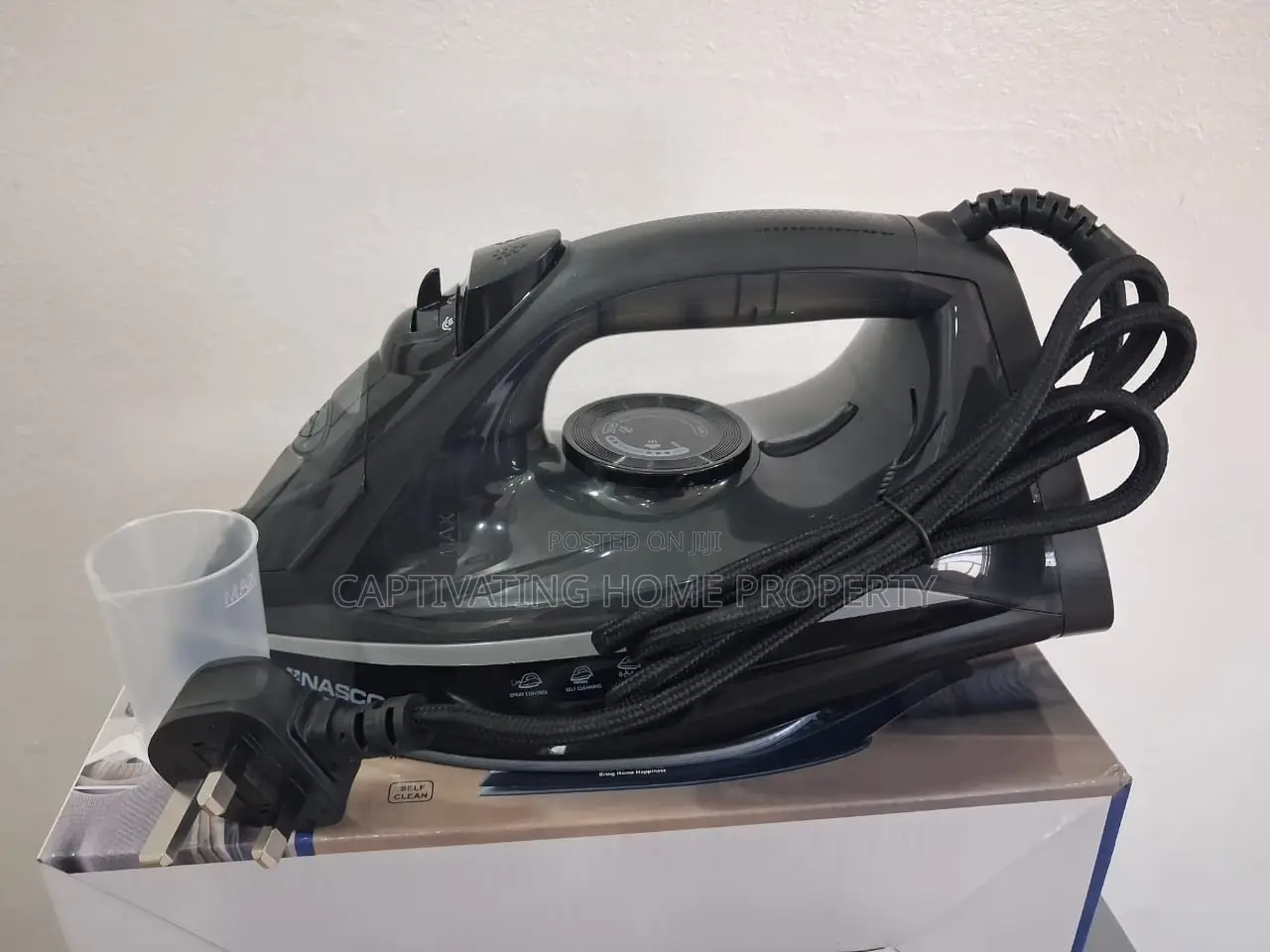 Steam Iron