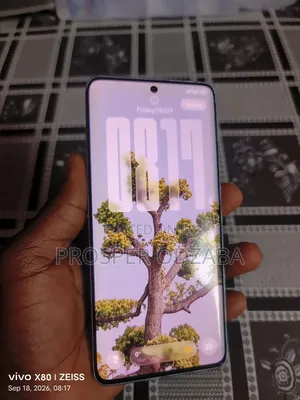 Xiaomi Redmi Note 13 Pro+ 256 GB Gray