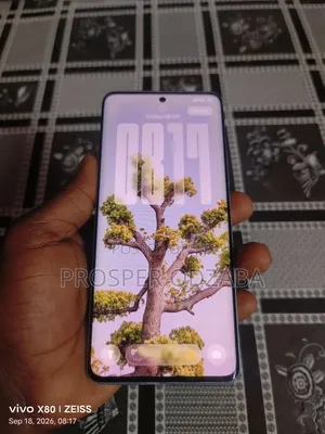 Xiaomi Redmi Note 13 Pro+ 256 GB Gray