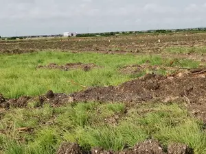 Don't Miss Out! Spacious Land for Sale at Tsopoli