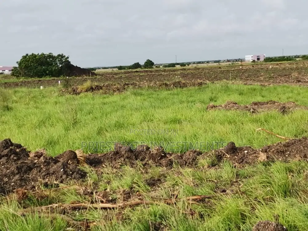 Don't Miss Out! Spacious Land for Sale at Tsopoli