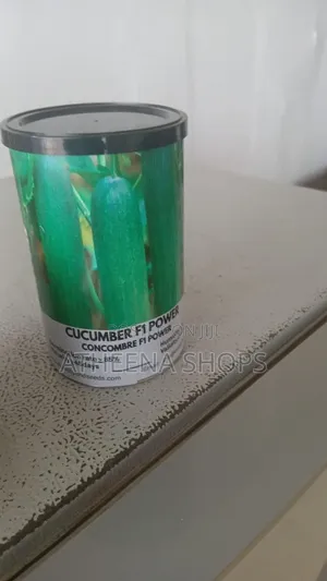F1 Big Cucumber Seeds (50 Grams)
