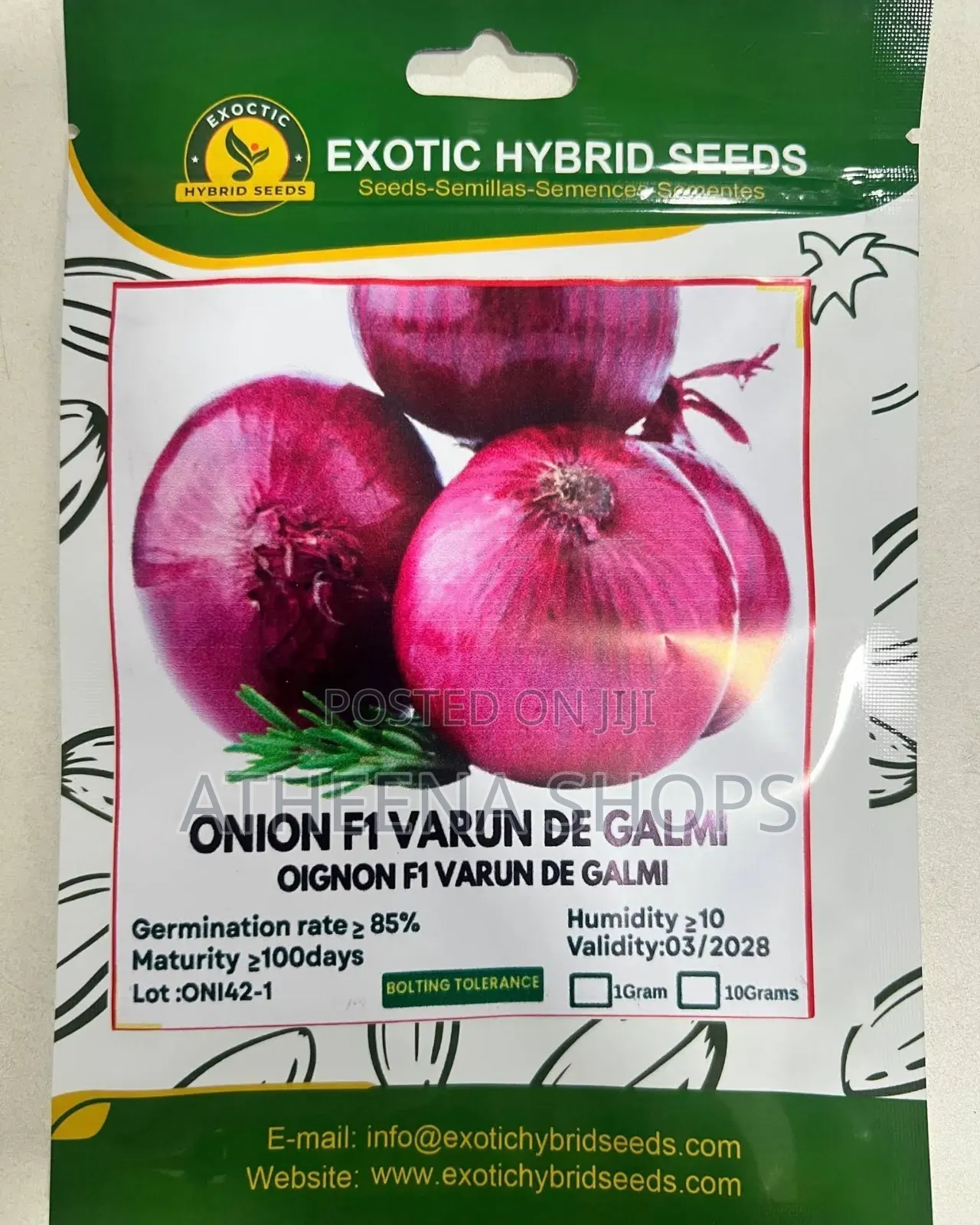 Onion Seeds
