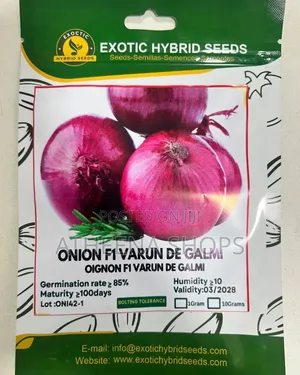 Onion Seeds