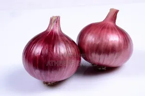 Onion Seeds