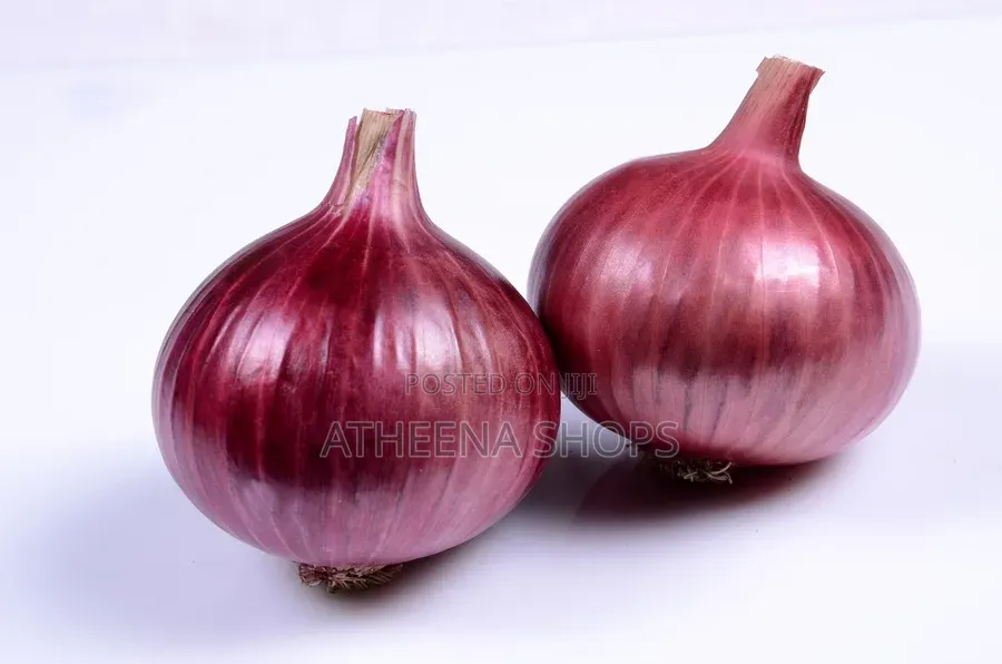 Onion Seeds