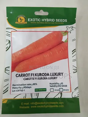 Big Carrot Seeds