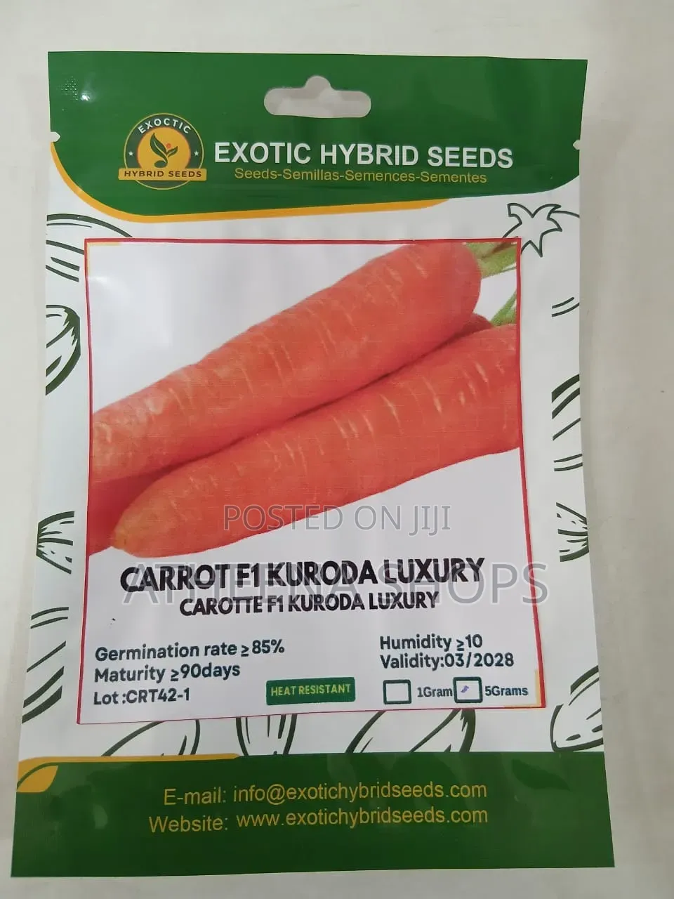 Big Carrot Seeds