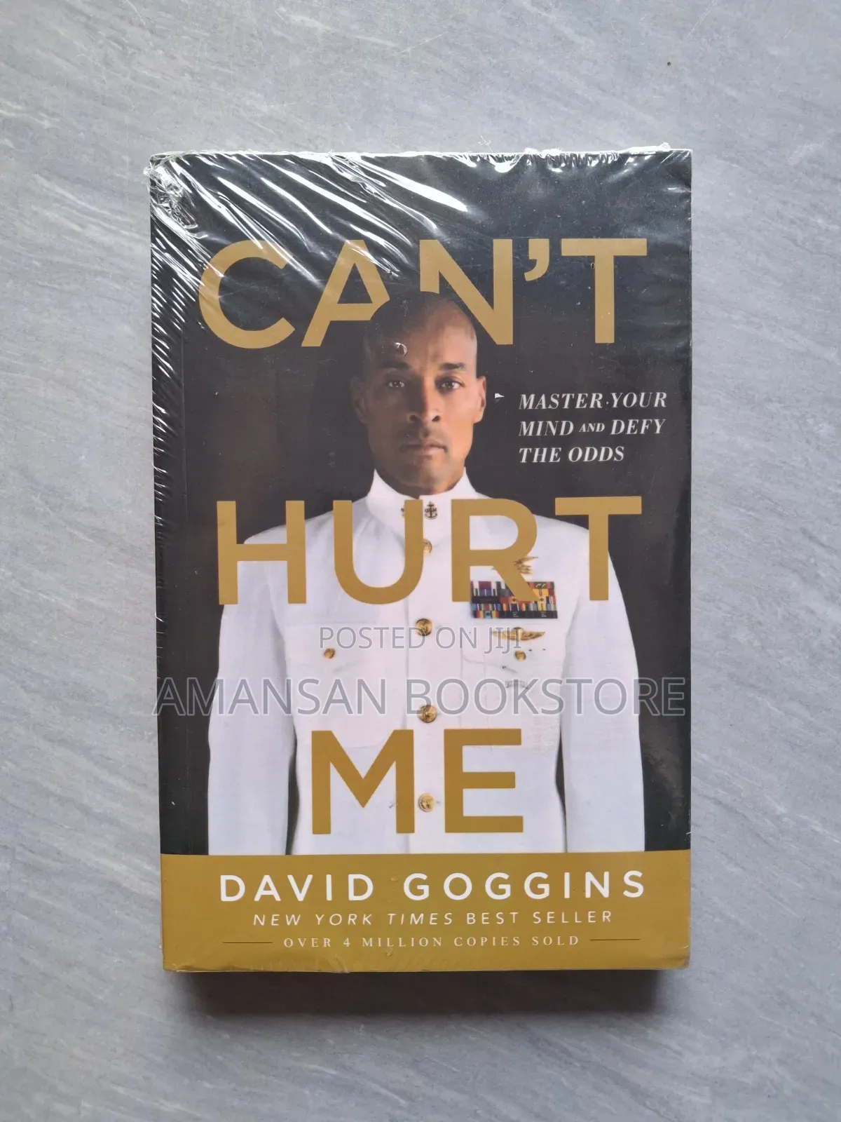 Can't Hurt Me