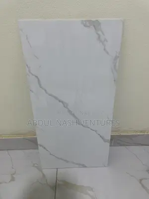 Bedroom and Hall Tiles(60*120)