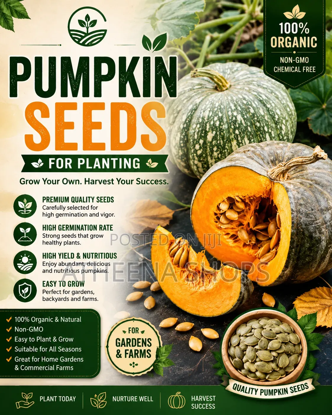 Pumpkin Seeds