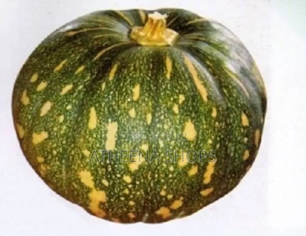 Pumpkin Seeds