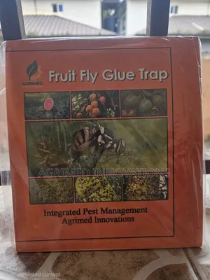 Fruit Fly Glue Trap / Insect Trap - Yellow