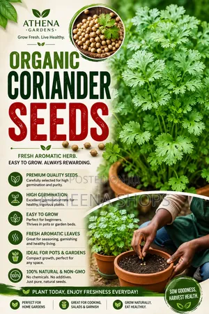 Coriander Seeds
