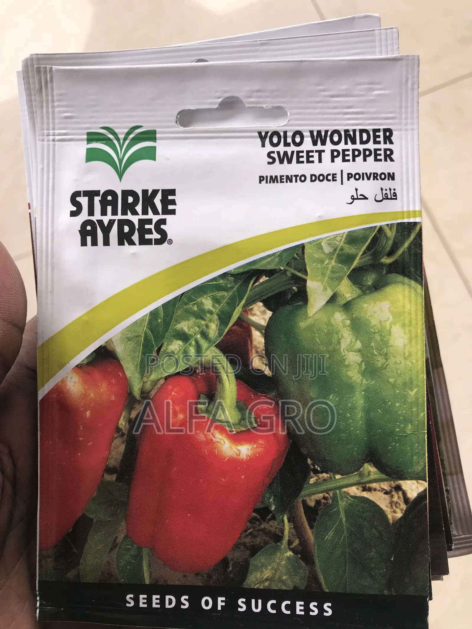 Vegetable Seeds Collection