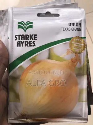 Vegetable Seeds Collection