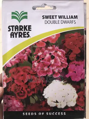 Sweet Scented Flower Seeds(3 in 1)