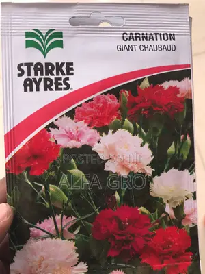 Sweet Scented Flower Seeds(3 in 1)
