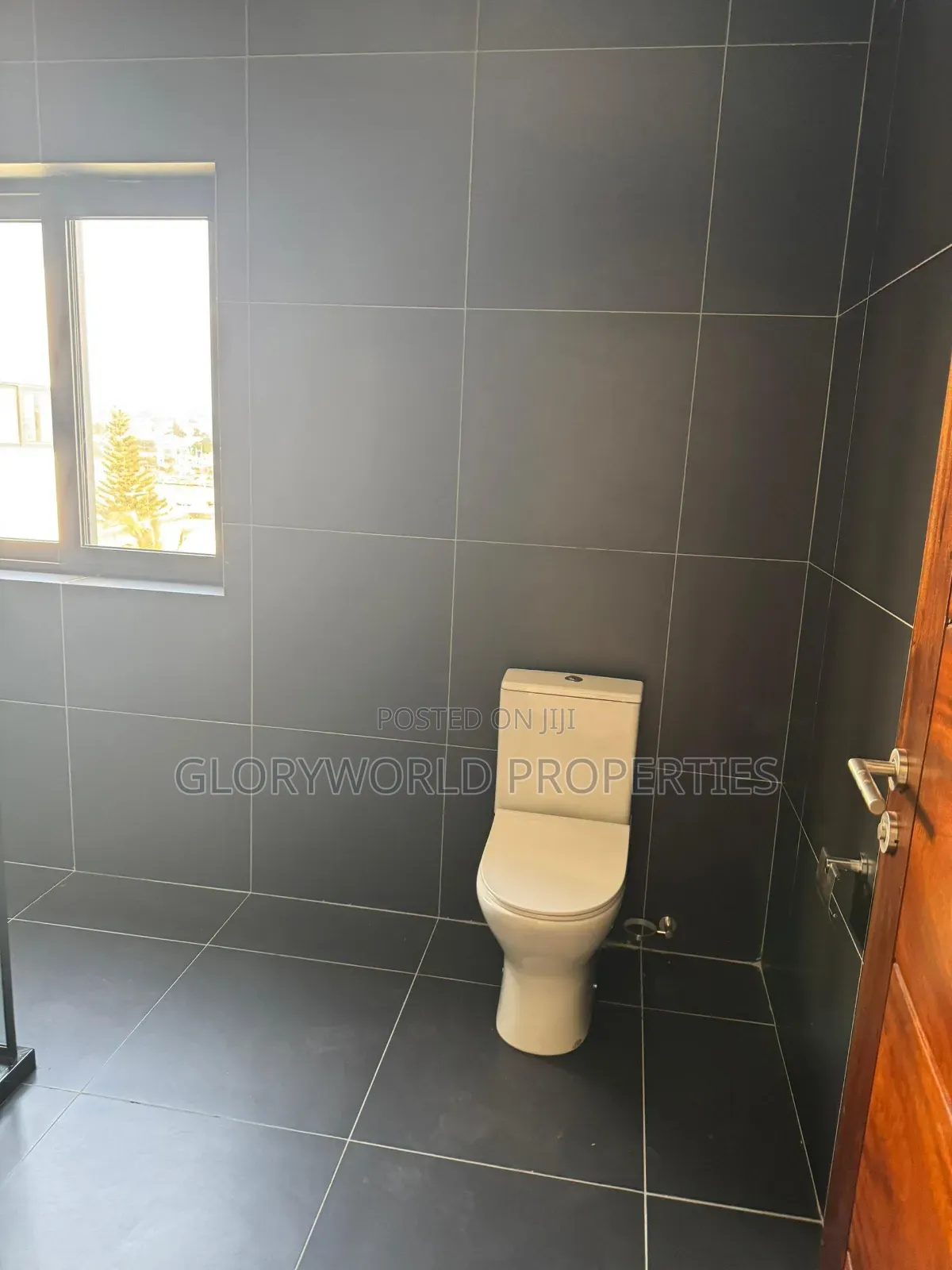 2bdrm Apartment in Dzorwulu for sale