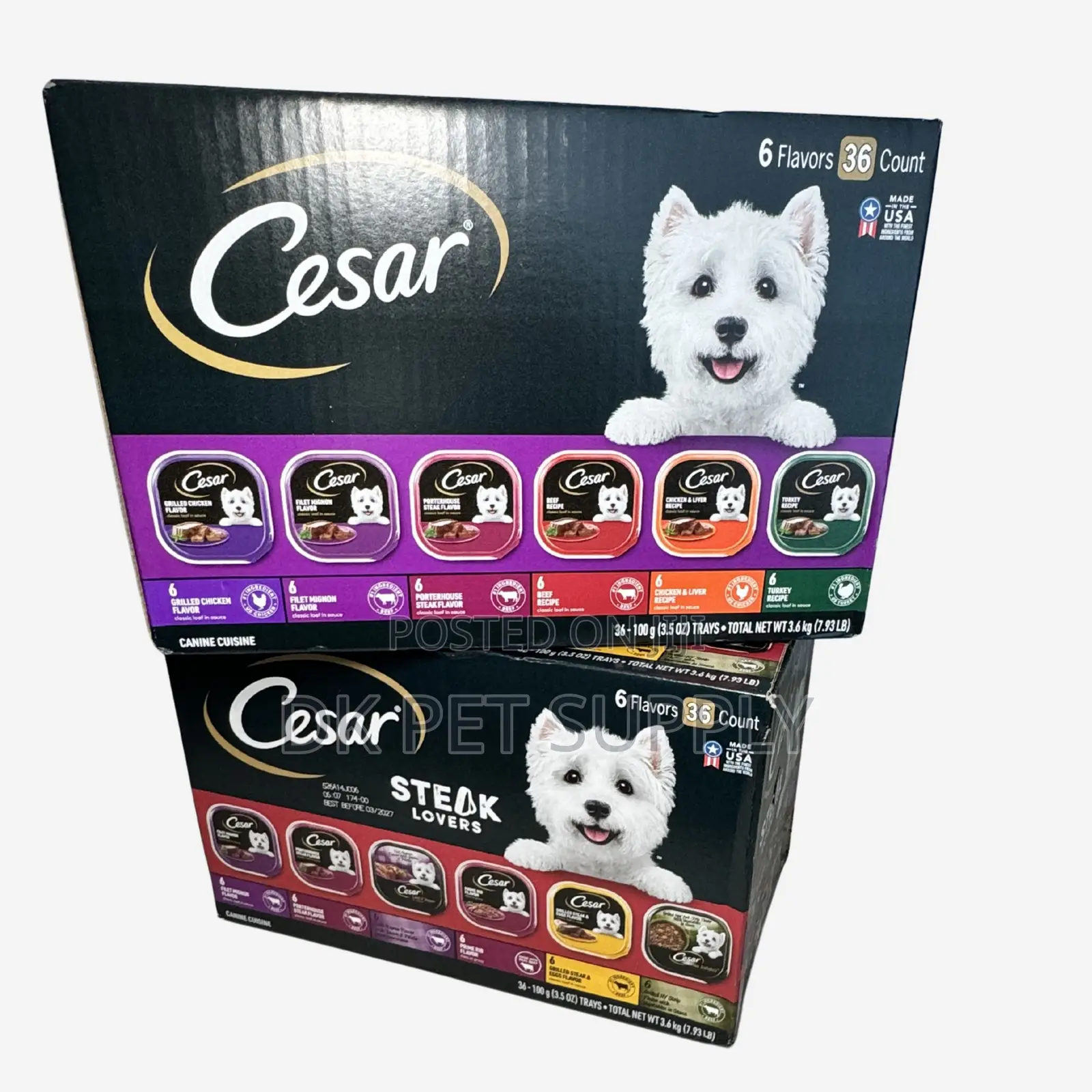 CESAR Wet Dog Food (Pack of 36)