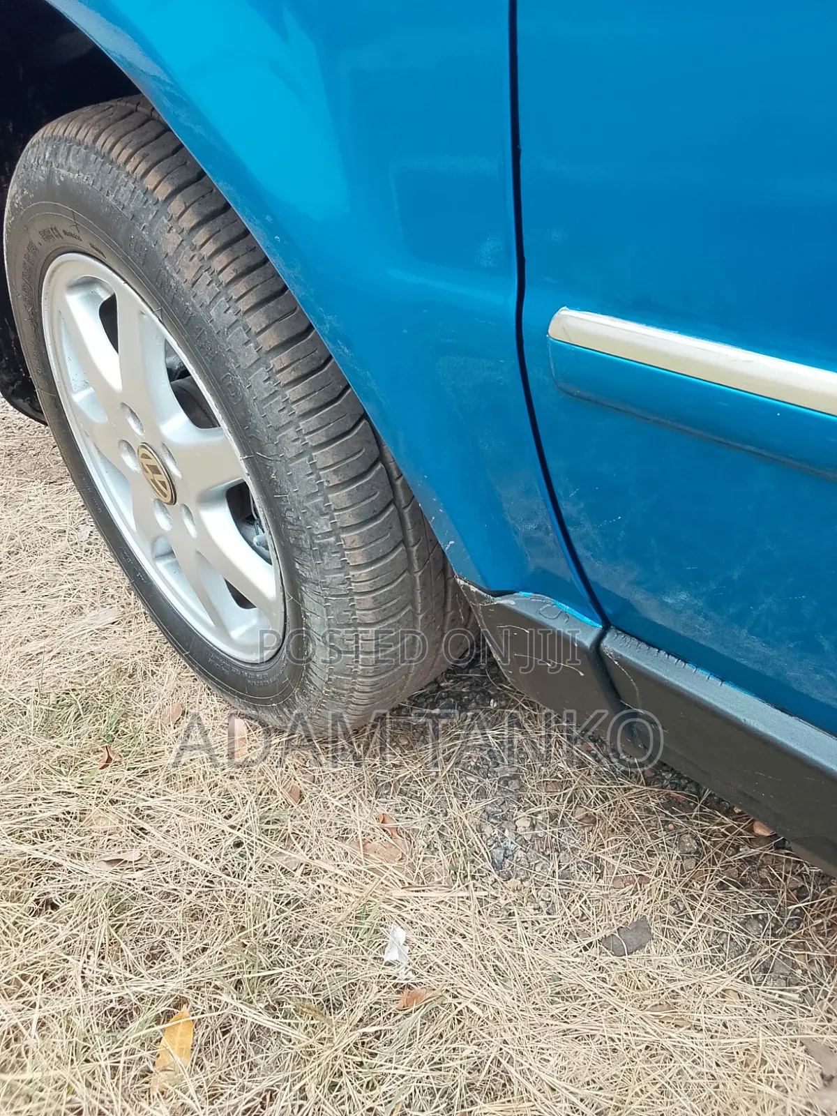 Volkswagen Passat 2004 Blue