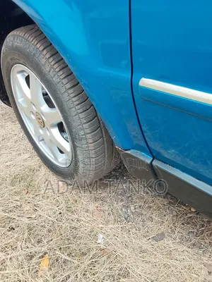 Volkswagen Passat 2004 Blue