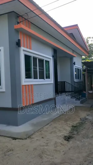 Professional House Painting Interior Decoration Services