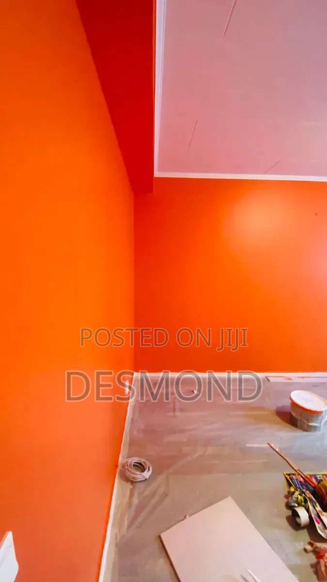 Professional House Painting Interior Decoration Services
