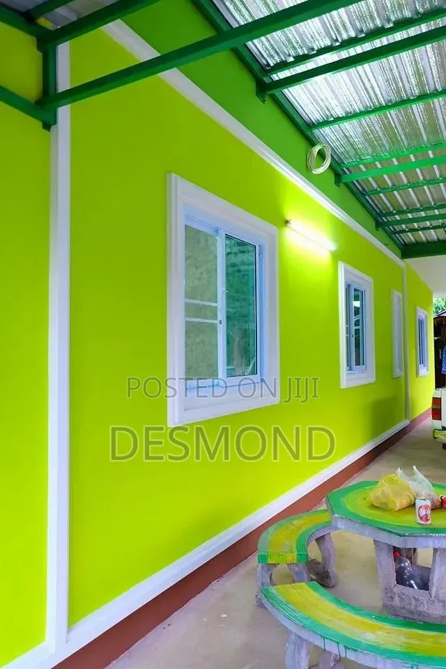 Professional House Painting Interior Decoration Services