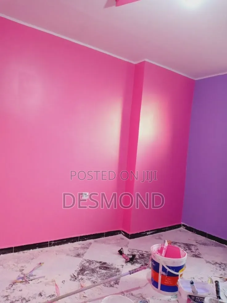 Professional House Painting Interior Decoration Services
