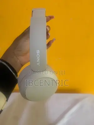 Sony Wh-Ch520 Headset