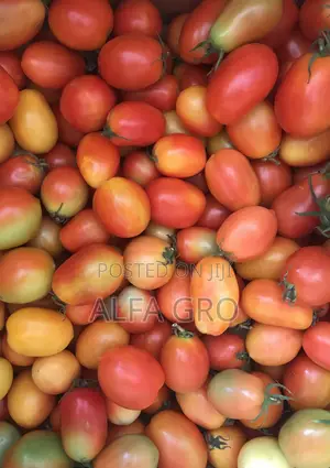 Tomatoes Berry Sizes(Farm Fresh)