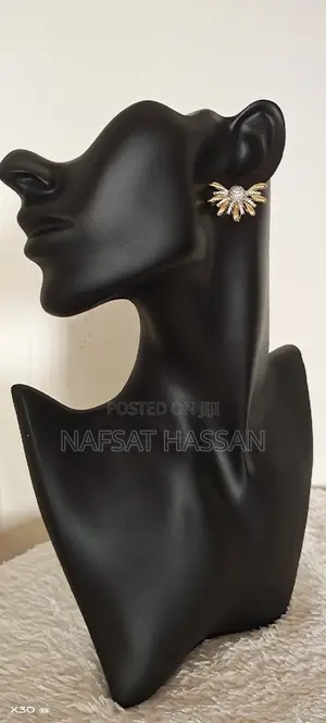 Unique Women Pair of Earrings