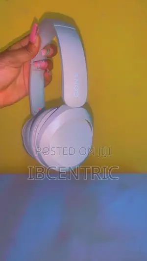Sony Wh-Ch520 Headset