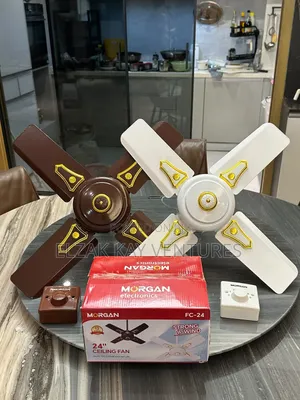 Short Blade Ceiling Fan