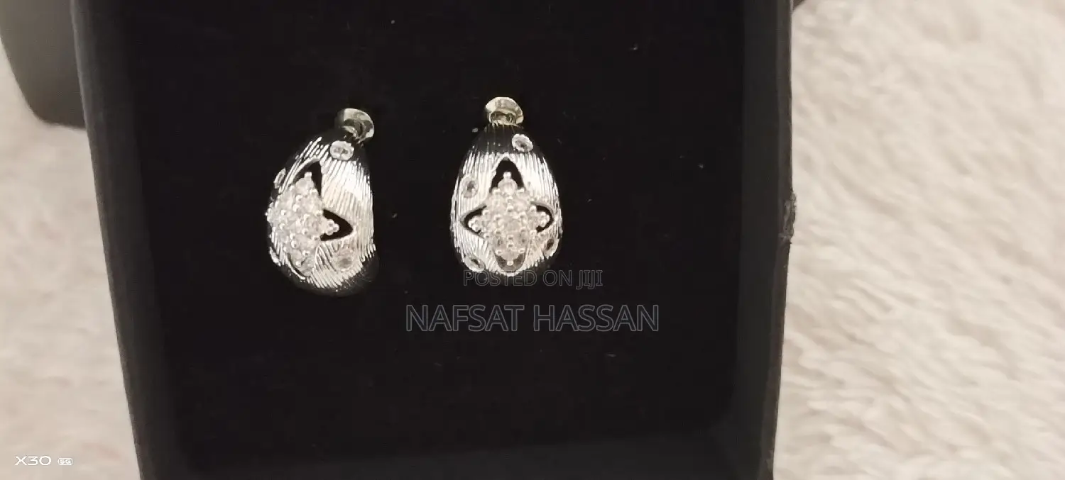 Women Exquisite Earrings