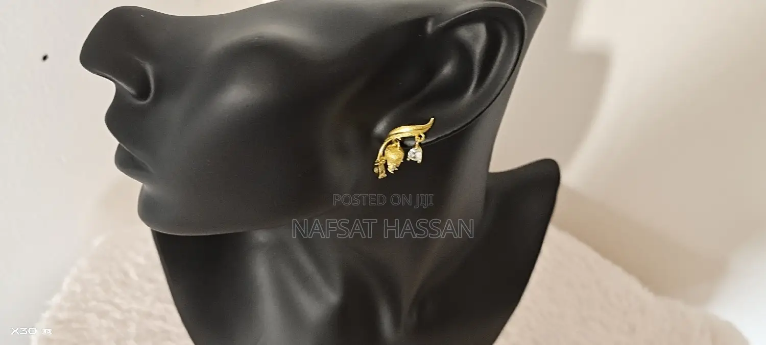 Women Exquisite Earrings