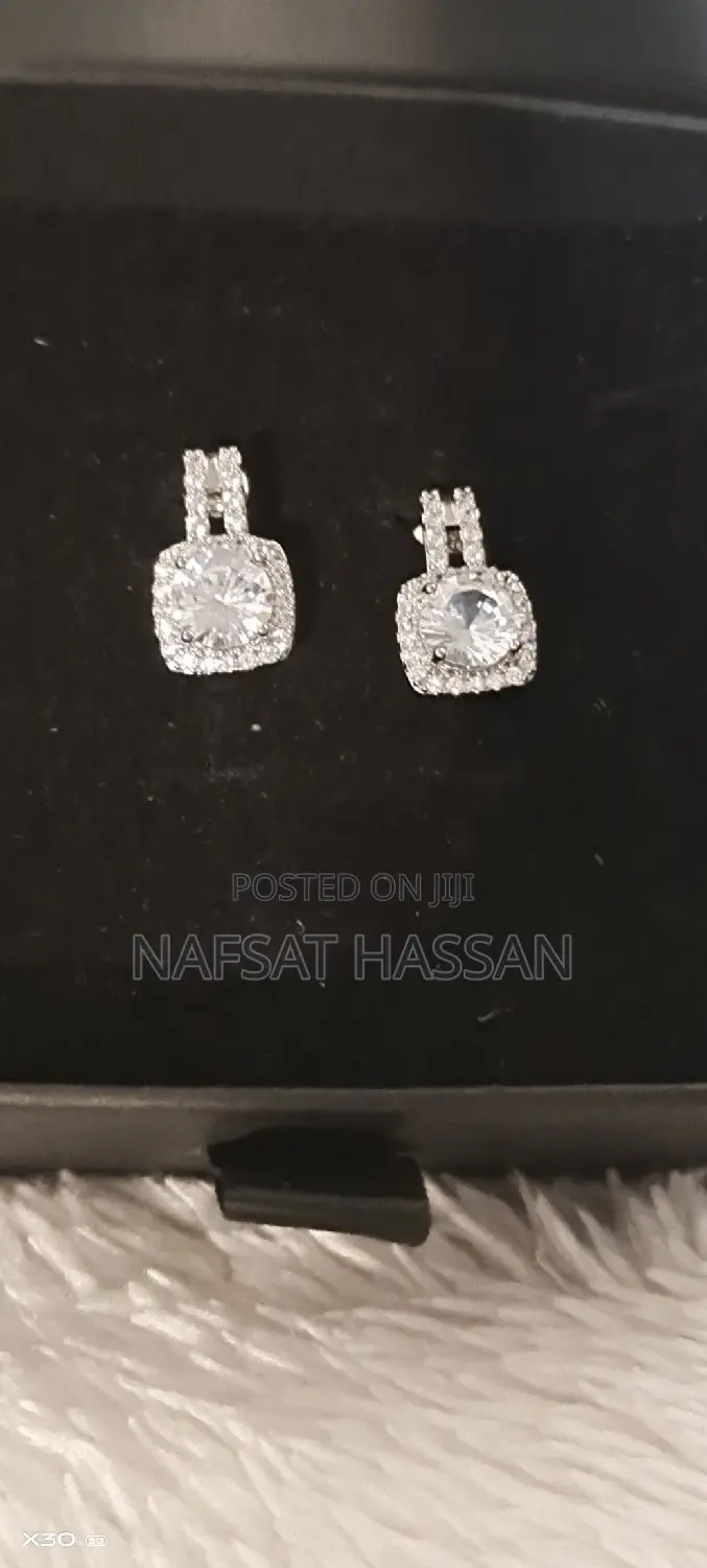Women Exquisite Earrings